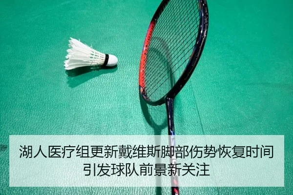 湖人医疗组更新戴维斯脚部伤势恢复时间引发球队前景新关注