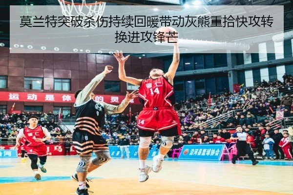 莫兰特突破杀伤持续回暖带动灰熊重拾快攻转换进攻锋芒
